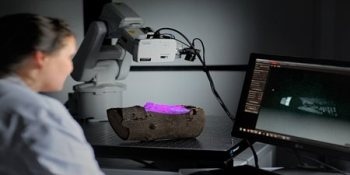 New Terahertz Imaging Technique Detects Insect Infestation in Trees
