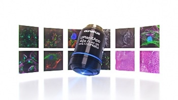 Discover High Performance and Comfort in Clinical Microscopy
