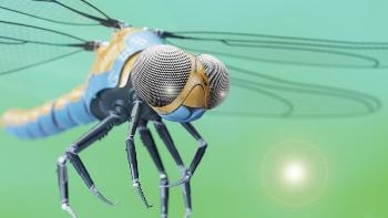 Researchers Develop Bio-Inspired Compound Eye to Enhance 3D Object Tracking