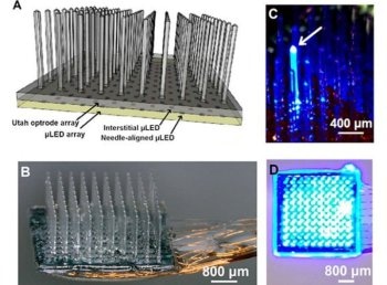 Multisite Optical Stimulator Could Advance Mammalian Behavioral Studies