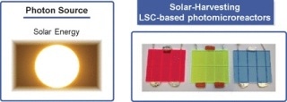 Colorful Microreactors Utilize Sunlight