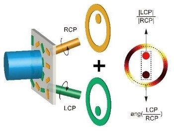 Metasurface Holograms Help Create Fast, Compact Devices to Measure Polarization