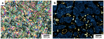 New Optical Technique to Observe High-Speed Chemical Reactions