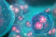 New 3D Imaging Method to Visualize Biological Samples on Microscopic Scale