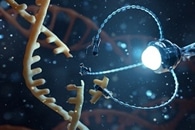 New X-Ray Technique to Study Architecture of Healthy Human Bones