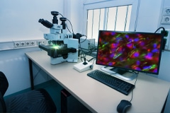 New Imaging Technique Provides an Unprecedented Look Inside Cell Membranes
