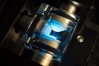 Brazilian Researchers Isolate Molecules Found in the Larvae of Blue Light-Emitting Fungus