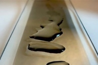 Luminescent Wood Film Could be Used as Cover Panels for Optical Devices