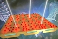 Novel Fluorescence Spectroscopy Technique for Authenticating Wine