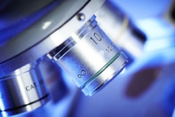 High-Resolution Fluorescence Microscopy for High-Speed Imaging of Living Cells