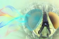 Researchers Develop a Light-Sensitive 3D-Printed Smart Gel