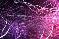 Hybrid Emitter Could Revolutionize the Design of Heavy-Atom-Free OLEDs