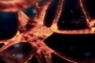 Researchers Develop a MicroLED Neural Probe for Neuroscience