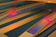 THz Spectroscopy Reveals Transient Evolution of Photoexcited Plasma in Liquid Water