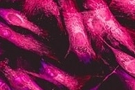 New Mass Spectrometry Imaging Method Based on Theory of Human Color Perception