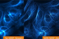 Novel Technique for Scalable Fabrication of Photonic Devices