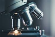 Salk Researchers Use Deep Learning to Improve Microscope Image Quality
