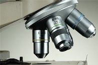 ZCP-LIED Technique Could be a Powerful Tool to Determine the Structure of Complex Molecules