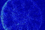 Novel Light Sensor Created from Algae's Rhodopsins
