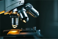 New Method Enables Scanning Electron Microscopes to See Real-Time Growth of Graphene