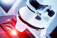 Scientists Study the Fundamental Properties of a Promising Class of Optoelectronic Materials