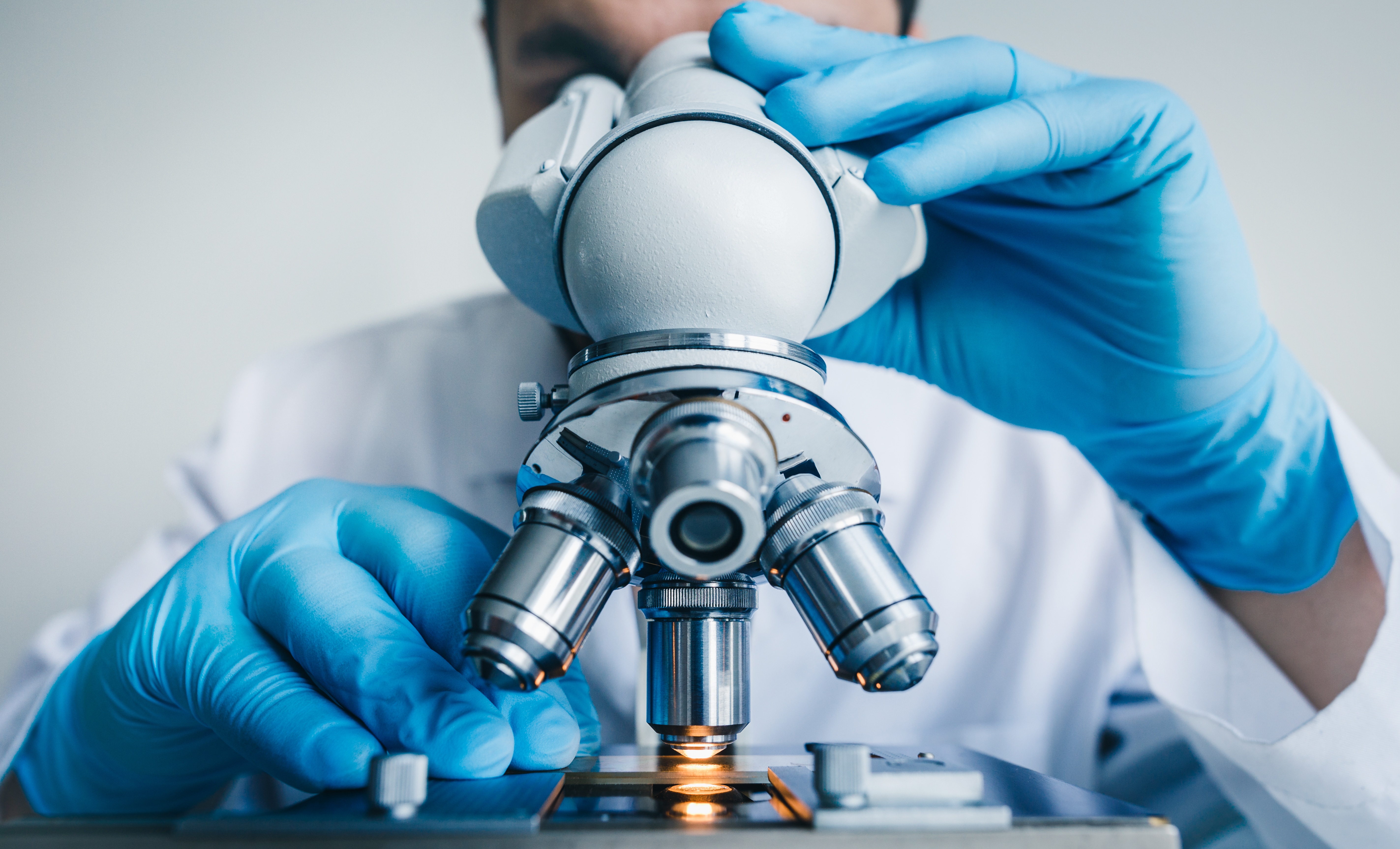 Scientists Develop Multimodal Nonlinear Endomicroscopic Imaging Probe for Tissue Diagnostics
