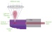 New Way to Fine-Tune Light Coming from Quantum Dots with Lasers