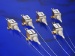 New Diode Laser Provides Simple and Cost Effective Solution For Industrial, Medical and Dental Applications