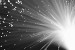 European Researchers are Shaking Up the Way R+D is Carried Out on Optical Chips