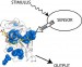 Using Light to Control Proteins