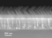 New Antireflective Coating Increases Amount of Sunlight Captured by Solar Panels