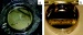 Canadian Scientists Report Progress Toward a New Type of "Liquid Mirror"