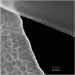 Carl Zeiss Setting New Record Resolution Benchmark for Scanning Electron and Ion Microscopy