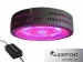 HIDHut Introduce New Supernova LED Shining Three Times Brighter