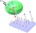 Japanese Researchers Develop New Process to Capture Light Energy