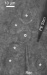 Activation of Neurons with Light by Means of Semiconductor Photoelectrodes