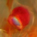 New Light Shed on Marine Luminescence