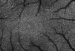 Layer of "Dark Cells" in the Retina Has Been Imaged for the First Time