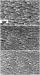 Step Toward Ideally Efficient Semiconductor Optical Devices such as LEDs