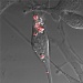 Researchers Discover Porous Polymeric Materials Increasing Efficiency of Traditional Photocatalysts in Cancer Treatment