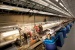 New Era of Research Begins as World's First Hard X-ray Laser Achieves "First Light"