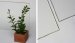 PPG Announces the Introduction of SOLARPHIRE AR New Glass