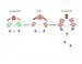 A Surprising Twist to Photosynthesis