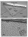 Cornell Researchers Experiment with Making Objects 'Invisible'