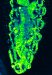 Michelson Diagnostics Delivers EX1301 OCT Microscope to its First US Customer