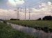 25 Million Euros for Dutch Research into Photosynthetic Energy from Plants and Algae