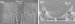 Reliable Path for Sculpting an Intricate X-Ray Focusing Lens Out of Diamond