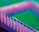 Coherent Acquires Expands into Machine Vision and Bioinstrumentation Market
