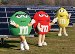 Celebrations to Mark Completion of New Solar Garden at Hackettstown