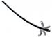Olympus Launches Smallest Gastrointestinal Videoscope for Narrow Band Imaging